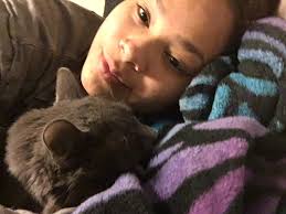 Lost cat in island home area near Maynard Glen ballpark