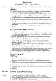 National Consultant Resume Samples Velvet Jobs