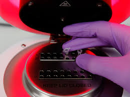 Unless otherwise noted in a site's description, all sites are sampling for pcr tests. Covid 19 Test Makers Are Adapting For Variants 2021 02 11 Bioworld