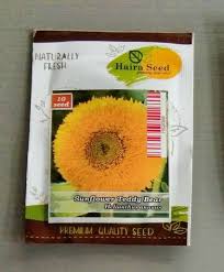 Pokok bunga matahari atau helianthus annus ialah sejenis pokok semusim dalam keluarga asteraceae yang berasal dari benua amerika. Benih Bibit Bunga Sunflower Teddy Bear Konstruksi Dan Taman 823987608