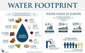 Pin On Water Conservation