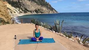 Clases regulares de vinyasa, yin y hatha yoga en sant antoni de portmany, clases particulares, talleres, servicios para empresas, servicios vip, eventos especiales, retiros y vacaciones, yoga para niños. Amante Ibiza Live Yoga From Amante Ibiza