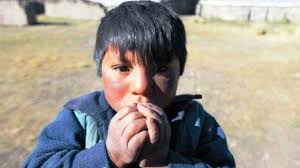 Puno: Hasta el 25 de abril temperaturas en zonas altas descenderán hasta