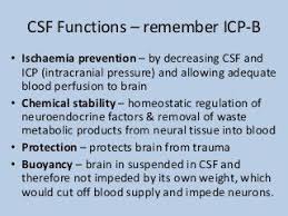 Cerebrospinal Fluid Csf And Interpreting Lumbar Puncture Lumbar Puncture Cerebrospinal Fluid Fluid