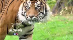 Les touristes mission pompiers : Les Touristes Mission Safari Vf Diffuse Le 09 02 18 A 21h00 Sur Tf1
