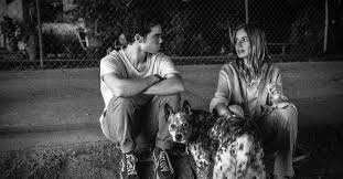 Mit einer produktion von usa und jamaika, wurde diese 2005 film von michael phillip edwards gerichtet. Runt Nicole Elizabeth Berger On Working With The Late Cameron Boyce