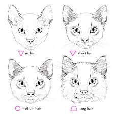 Wie Zeichnet Man Haut Zeichnen Lernen Fur Anfanger How To Draw Tutorial In 2020 Katzengesicht Zeichnung Katze Zeichnung Anleitung Illustration Katze