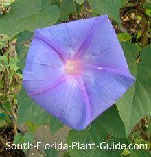 Pin On Fl Ideas