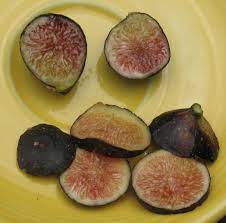 Maybe you would like to learn more about one of these? Fig Ripening Order Short Season Tips Mountain Figs