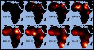 Reconstructing the climatic niche breadth of land use for animal production  during the African Holocene
