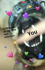 Pin By Savs On Mhm Wholesome Memes Cute Memes Crush Memes
