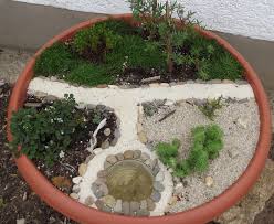 Epipactis Miniaturgarten Sukkulenten