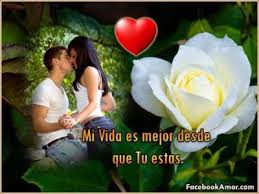 Pin En Imagenes De Flores Hermosas Con Frases