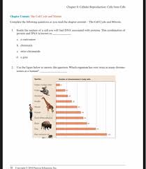 Dna is turned to rna and then to protein is called what? Chapter 8 Cellular Reproduction Cells From Cells Chegg Com