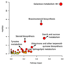 Image result for Rytigynia monantha