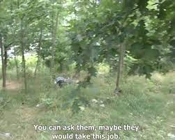 Sweet tight teen kiki masturbating outdoors. Czech Teen Kiki18 Masturbating In Beautiful Rose Garden Beautiful Teen Masturbating Teenagers Mobileporn