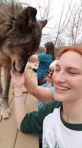 Exploring the World of Wolves with Miranda Barnes