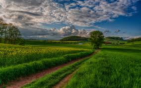 Maybe you would like to learn more about one of these? 45 Scenic Landscape Wallpaper On Wallpapersafari