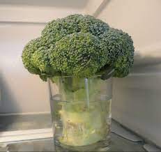 Thanks to this article, i've gotten to know all i want to know about storing. Tip How To Store Fresh Broccoli To Keep It Longer In The Fridge Great Health Naturally