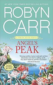 Included in the novel study: Angel S Peak Robyncarr