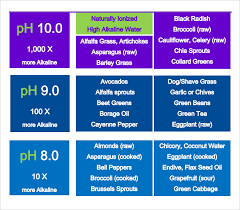 sample ph chart 6 documents in word pdf