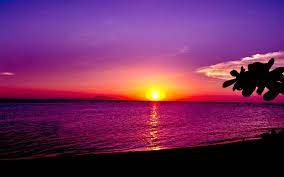 Free shipping on orders over $35. Sunset 1920x1200 Resolution Wallpaper Image Background Picture Wallpaperimageshd Com