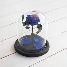 Dried flowers and preserved flowers online order. Forever Blue Rose In Glass Dome
