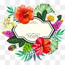 Flores Png Images Vetores E Arquivos Psd Download Gratis Em Pngtree Flower Painting Vector Flowers Flower Frame Polish your personal project or design with these tropical transparent png images, make it even more personalized and more attractive. pinterest
