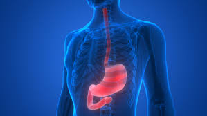 Savings card · faqs · download savings card · talk to a doctor Morning Stomach Symptoms And Hunger Pains Upon Waking Healthhype Com