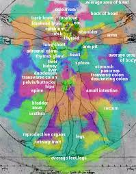 Aura Feedback The Most Optimal Energy In The Area Is Green