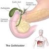 Are the organs related to the digestive system. 1