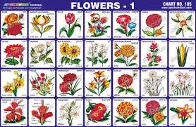 All Flowers Name In Hindi With Pictures Best Flower Site