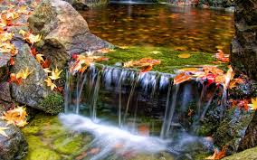 3d Waterfall Wallpaper Free Download Garden Waterfall Butchart Gardens Waterfall Wallpaper