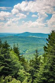 Maybe you would like to learn more about one of these? The Monongahela National Forest In West Virginia 4912x7360 Oc Earthporn