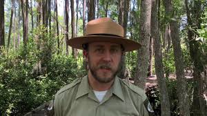 Check spelling or type a new query. Complete Guide To Georgia State Parks
