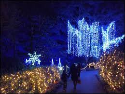 Maybe you would like to learn more about one of these? The Best Holiday Light Show In The United States Is At Bellingrath Gardens