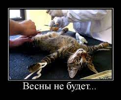 Тупичок мыслей » Blog Archive » Весны не будет.