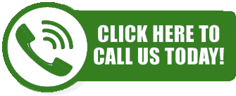 Bee, wasp, and hornet control for buffalo, ny. Pest Control Services In Canandaigua Bed Bugs Mice Ants Bees More