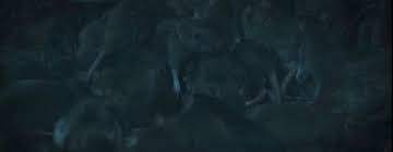 The tale is told from from the perspective of wilfred james, the story's unreliable narrator who admits to killing his wife, arlette, with his son in nebraska. 1922 Review Stephen King Horror Novella S Netflix Adaptation Suffers From Tedious Pace Entertainment News The Indian Express