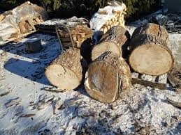 It all depends if you have a soft or hard maple. Wood Id Sugar Or Silver Maple Firewood Hoarders Club