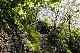 The leaves have reached their peak in beauty, and we'd love to share them with you! Devil S Hole Trail New York Trails Traillink