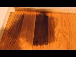 You can also make a cleaning solution by mixing hydrogen peroxide, liquid dish soap, and baking soda. Remove Pet Urine On Hardwood Floor Youtube