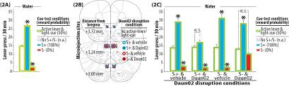 Distinct memory engrams in the infralimbic cortex of rats control opposing  environmental actions