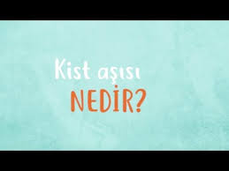 Kedi Ve Kopek Kist Asisi Nedir Ne Zaman Ve Nasil Kullanilir Yapilir Vet Hek Nilufer Tarhan Youtube