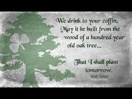 Pin By My Info On Yes I M Irish Irish Quotes Irish Toasts Irish Proverbs