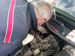 Test de la batterie elle est bonne , test de l'alternateur il est bon. Bujii Peugeot 206 1 4 Hdi Start Plugs Diesel Youtube