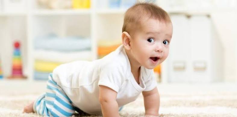 Passpod, Bayi Naik Pesawat, Bayi, Traveling bersama bayi