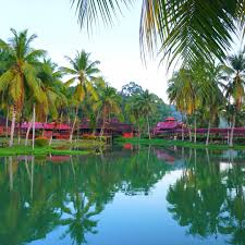 Selain artikel di atas, kami juga. Travel Peladang Setiu Agro Resort Terenggnu Mimin Adam