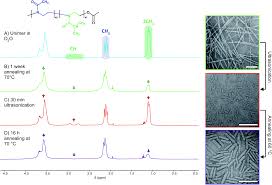 Viral video of bella skies twitter listen here. Stealth Nanorods Via The Aqueous Living Crystallisation Driven Self Assembly Of Poly 2 Oxazoline S Chemical Science Rsc Publishing