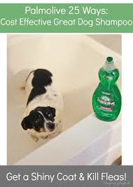 These shampoos are extremely mild and will be extra kind to your dog's skin. See How You Can Use Dish Soap As A Safe And Effective Dog Shampoo